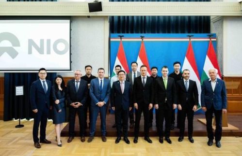 中國汽車出海記 理想特別豐滿