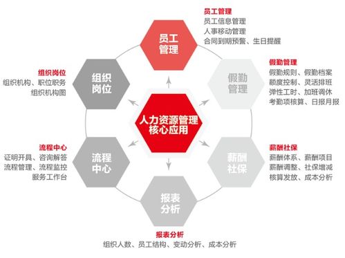 飛宇公司集中力量完善員工人事信息 助推人力資源管理數(shù)字化建設(shè)